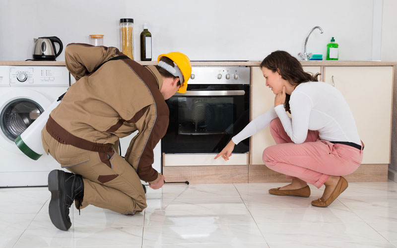 A man and woman diligently clean a kitchen, ensuring a pest-free environment with Pro Exterminating Pest Control.